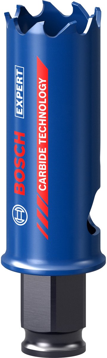 Bosch expert gatzaag voor taai materiaal 22 x 60 mm - 2608900420