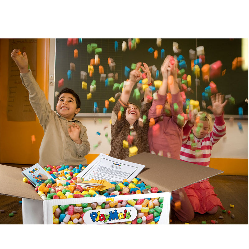 Load image into Gallery viewer, Playmais eduline large set (> 6.300 stukjes)
