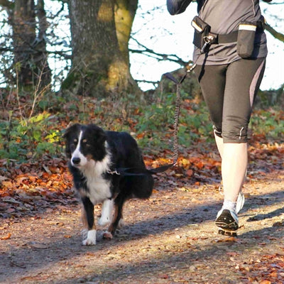 Load image into Gallery viewer, Trixie heupriem met jogginglijn zwart
