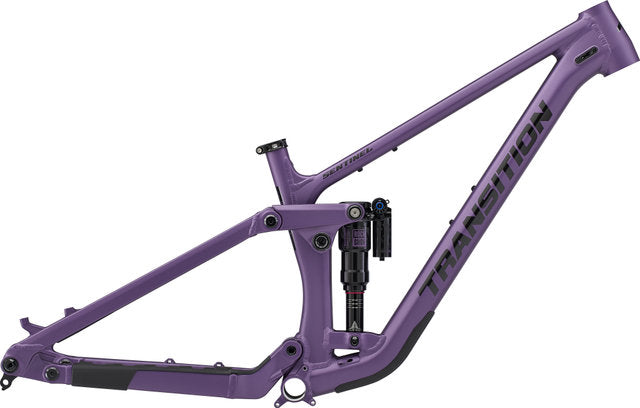 Load image into Gallery viewer, Transition sentinel alloy frame
