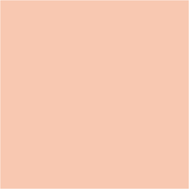 Load image into Gallery viewer, Https: www.cchobby.nl bic-visa-color-kleurstiften-lijndikte-3-mm-licht-beige-12-stuk-1-doos
