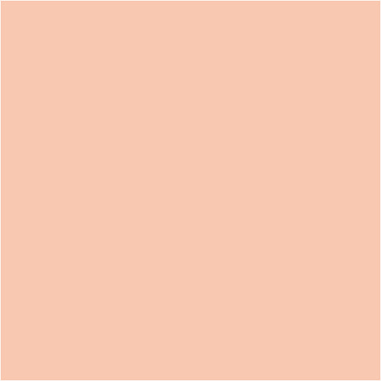 Https: www.cchobby.nl bic-visa-color-kleurstiften-lijndikte-3-mm-licht-beige-12-stuk-1-doos