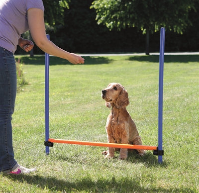 Load image into Gallery viewer, Trixie dog activity agility horde blauw oranje

