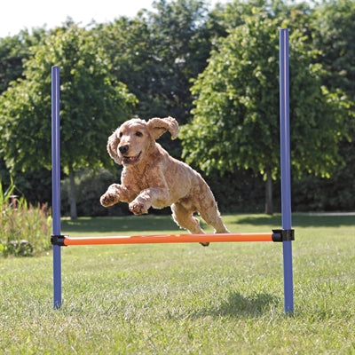 Trixie dog activity agility horde blauw oranje
