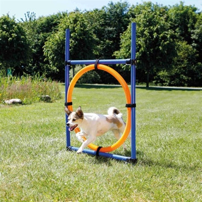 Load image into Gallery viewer, Trixie dog activity agility ring blauw oranje
