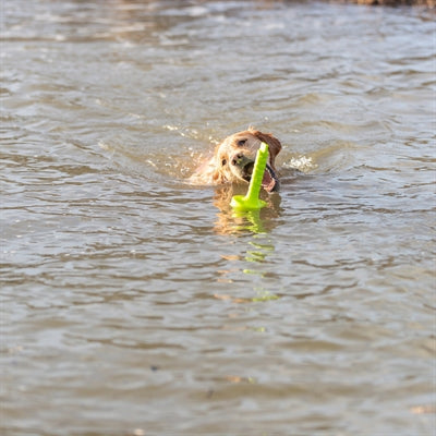 Load image into Gallery viewer, Trixie dog activity mot-aqua apporteer dobber limegroen
