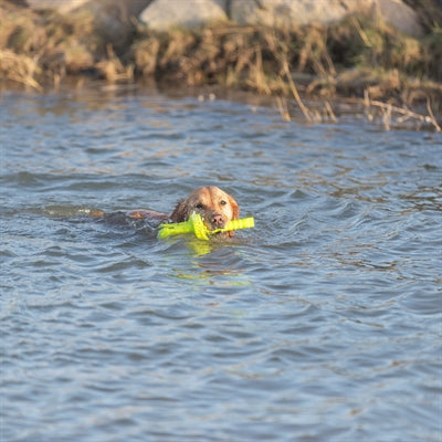 Load image into Gallery viewer, Trixie dog activity mot-aqua apporteer dobber limegroen
