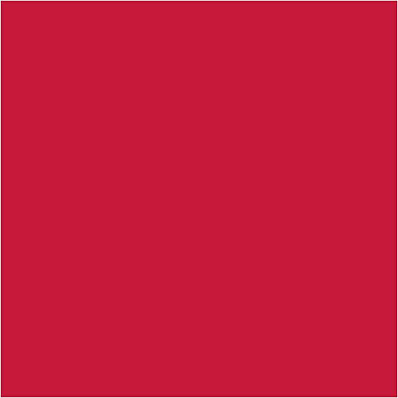 Load image into Gallery viewer, Https: www.cchobby.nl creall-studio-acrylverf-dekkend-carmine-red-12-500-ml-1-fles
