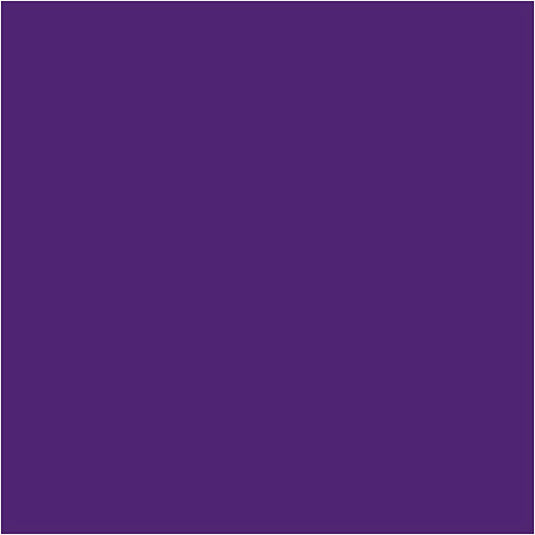 Https: www.cchobby.nl creall-studio-acrylverf-dekkend-violet-25-500-ml-1-fles