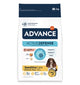 Advance - sensitive salmon rice hondenvoer