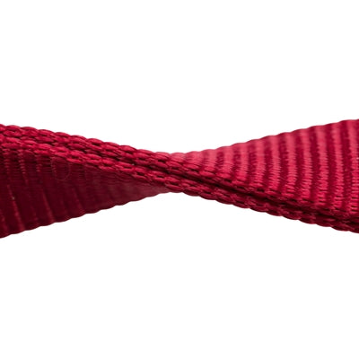 Load image into Gallery viewer, Trixie hondenriem premium dubbelgestikt verstelbaar rood
