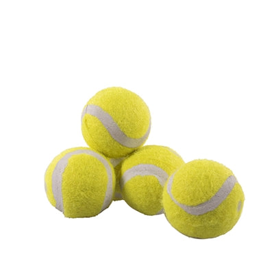 Load image into Gallery viewer, Rosewood Jolly doggy tennisbal mini
