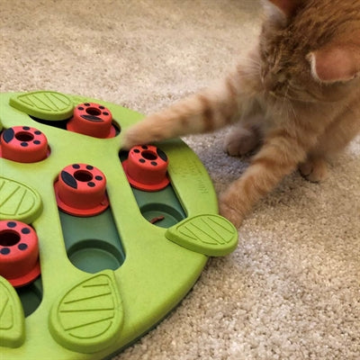 Load image into Gallery viewer, Nina ottosson puzzle play buggin out groen
