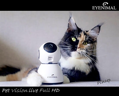Load image into Gallery viewer, Eyenimal pet vision live hd camera met geluidsdetectie
