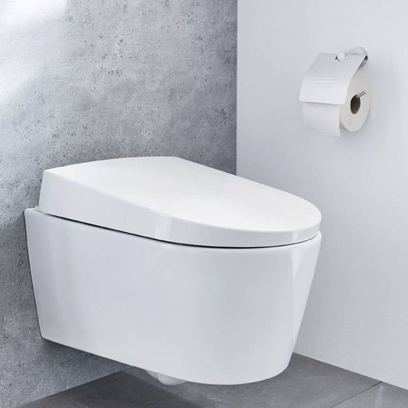 Load image into Gallery viewer, Kleine wolke kleine wolke toiletrolhouder met deksel apollo aluminium
