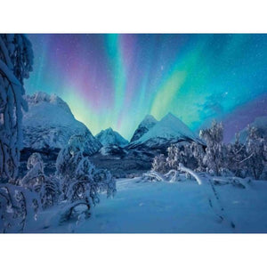 Ravensburger puzzel noorderlicht 1500pcs