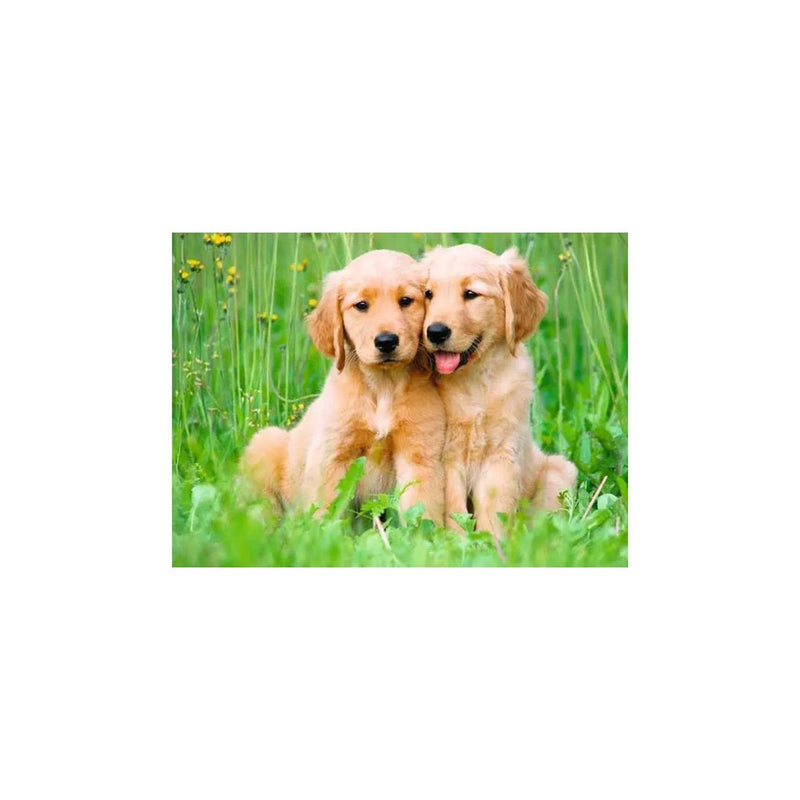Load image into Gallery viewer, Ravensburger puzzel golden retriever
