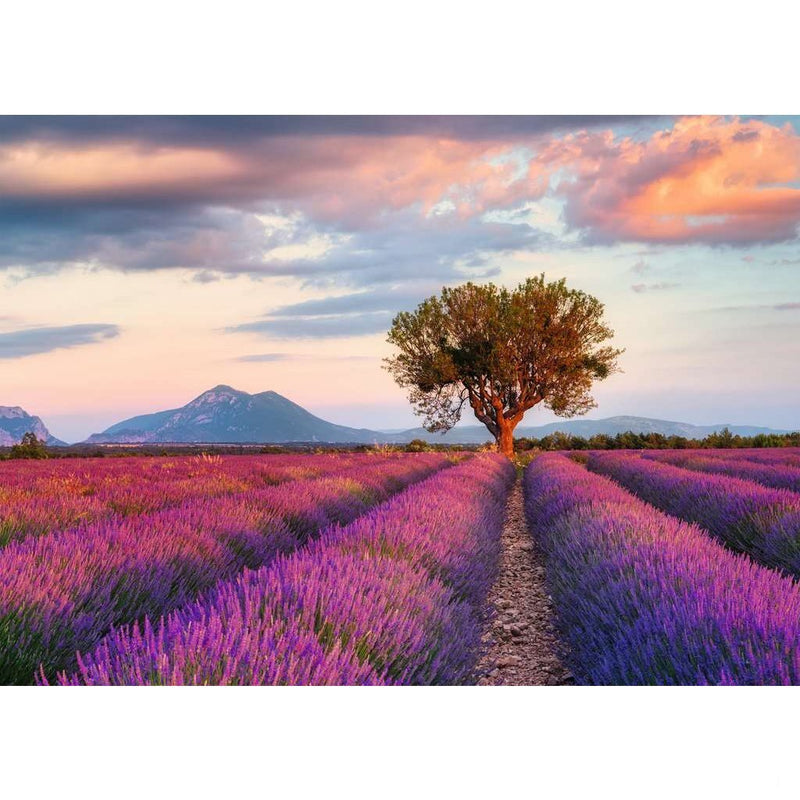 Load image into Gallery viewer, Ravensburger puzzel lavendelvelden 1000 stukjes
