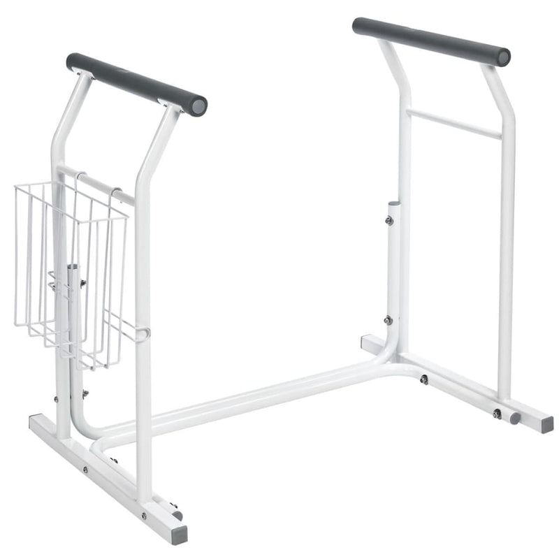 Load image into Gallery viewer, RIDDER RIDDER Toiletgreep mobiel 150 kg wit A0110101
