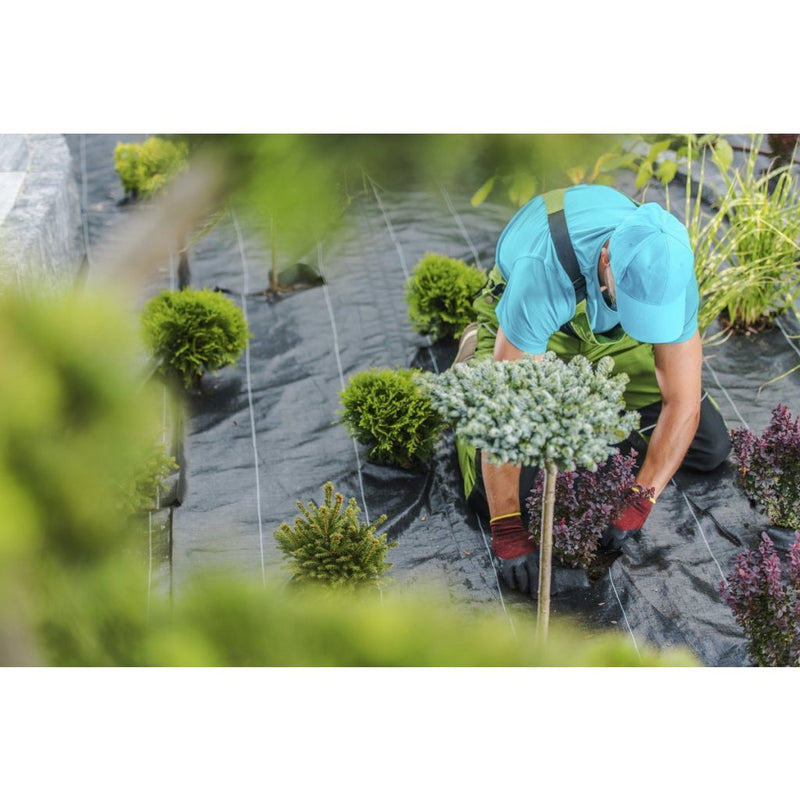 Load image into Gallery viewer, Tercasa ju-998102 worteldoek 200x500 cm 100g m sup2; zwart
