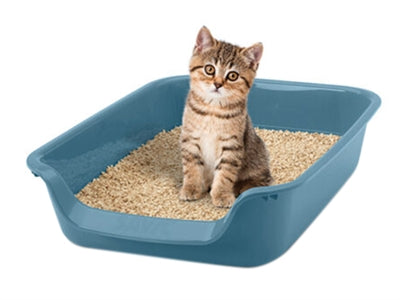 Load image into Gallery viewer, Savic junior kattenbak blauw
