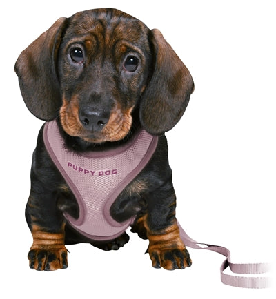 Load image into Gallery viewer, Trixie junior puppytuig soft met riem lila
