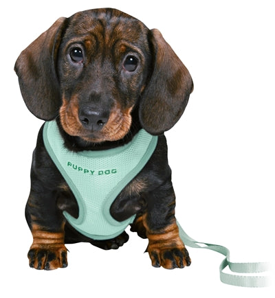 Load image into Gallery viewer, Trixie Junior puppytuig soft met riem mintgroen
