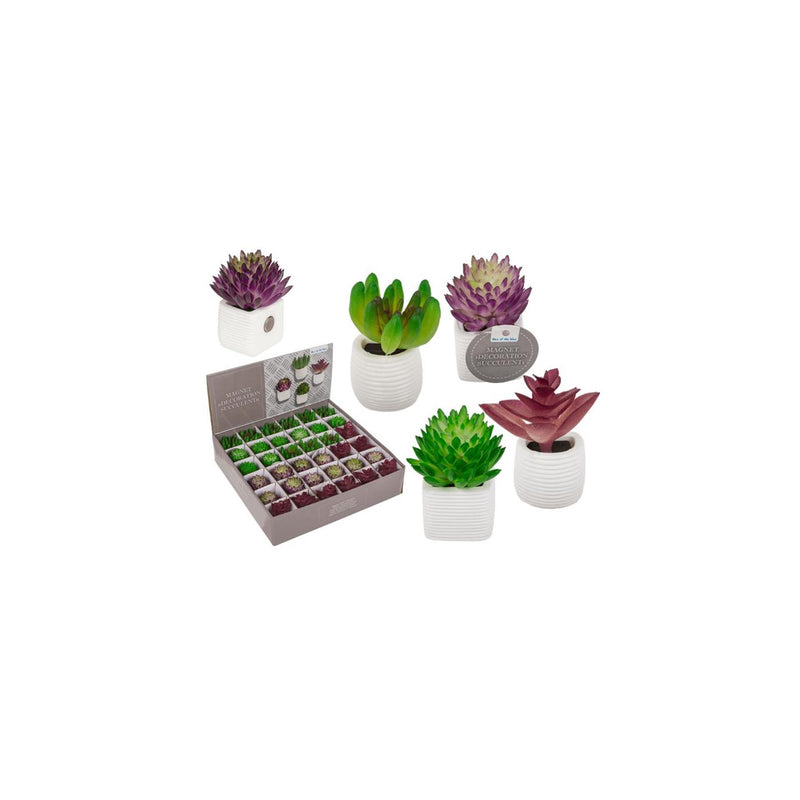 Load image into Gallery viewer, Ootb magneet vetplant in pot 3x5cm
