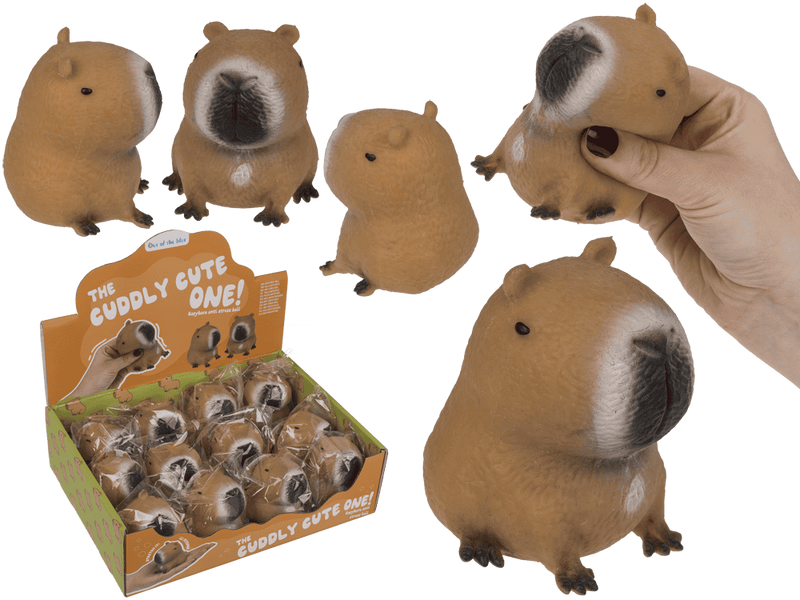 Load image into Gallery viewer, Dsp squeezie capybara. 12 stuks in dsp.
