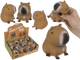 Dsp squeezie capybara. 12 stuks in dsp.