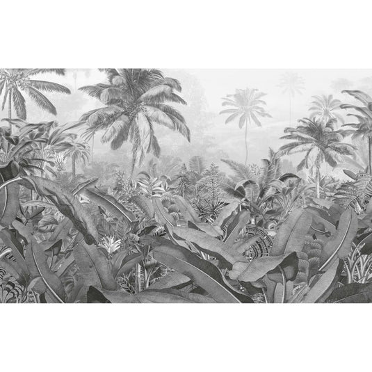 Komar Komar Fotobehang Amazonia Black and White 400x250 cm
