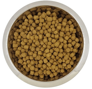 Yourdog Dwergof toypoedel volwassen