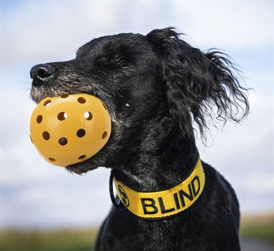 Load image into Gallery viewer, Trixie Gatenbal natuurrubber met bel voor blinde of gehandicapte hond
