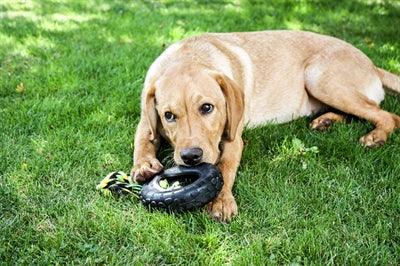 Load image into Gallery viewer, Happy pet grrrelli tyre tugger zwart groen
