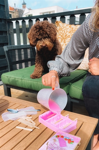 Load image into Gallery viewer, Easypets Easy freezy dog ice hondenijs ananas
