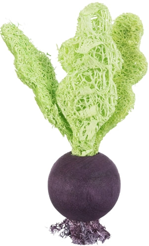 Load image into Gallery viewer, Trixie speelbal set biet aardbei hout loofah
