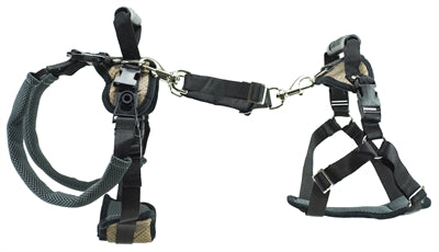 Load image into Gallery viewer, Solvit petsafe carelift voor en achter

