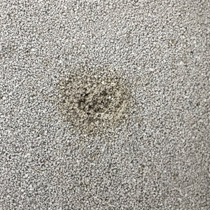 Easypets premium clean white bentonite kattenbakvulling