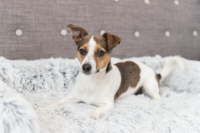 Load image into Gallery viewer, Trixie Sofa bed harvey meubelbeschermer hoekig wit zwart
