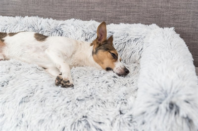 Load image into Gallery viewer, Trixie Sofa bed harvey meubelbeschermer hoekig wit zwart
