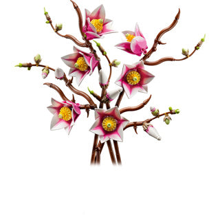 Load image into Gallery viewer, Lego botanicals magnoliatakken - 11510
