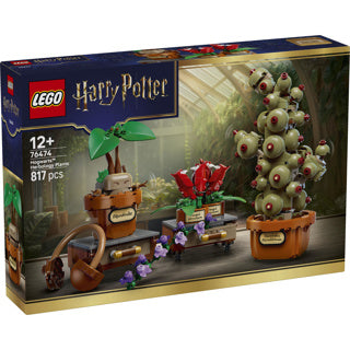 Load image into Gallery viewer, Lego harry potter zweinstein kruidenkunde planten bouwbaar speelgoed voor kinderen 76474
