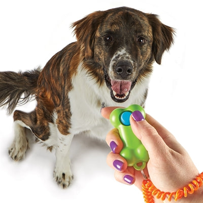 Load image into Gallery viewer, Brightkins Smarty pooch training clicker bone
