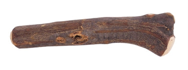 Dog woodzzz olijfhout