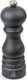 Peugeot paris pepermolen 18 cm - grafiet - u'select