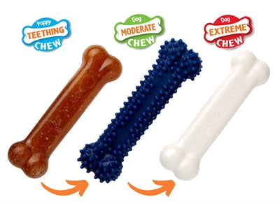 Load image into Gallery viewer, Nylabone puppy chew puppy starter kit chicken
