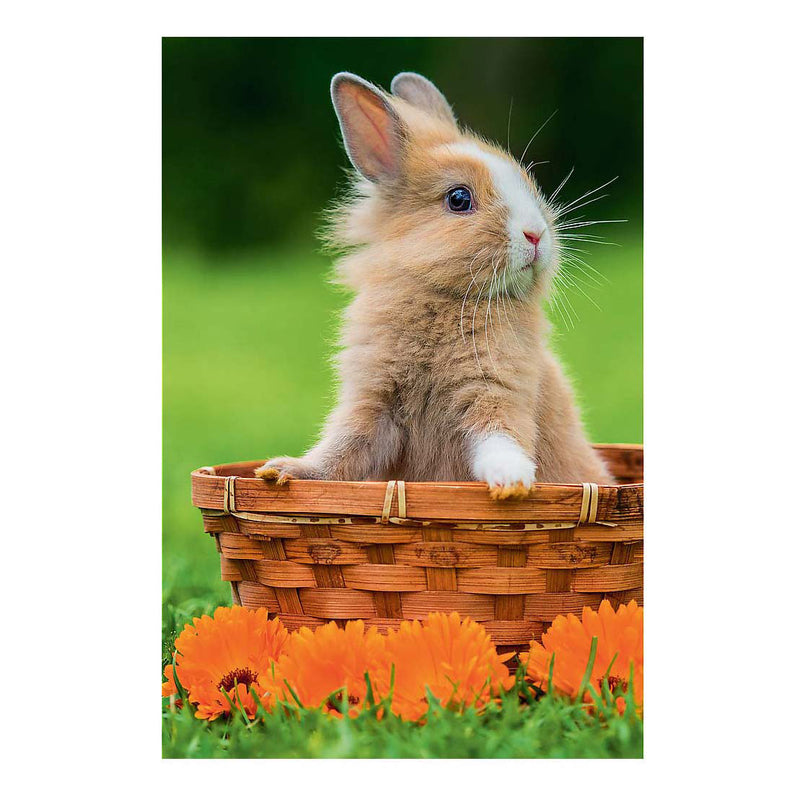 Afbeelding laden in galerijviewer, Mini puzzel lovely animals - 54st.
