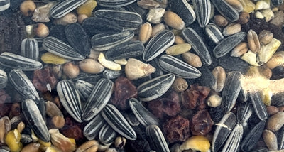 Load image into Gallery viewer, Utopia Vinken mix
