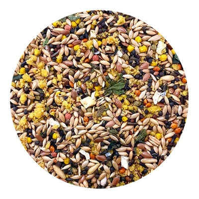 Load image into Gallery viewer, Utopia Kanaries top quality
