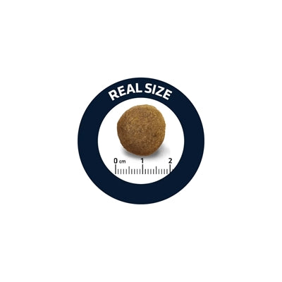 Load image into Gallery viewer, Advance Adult german shepherd
